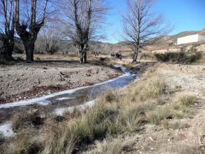 Parras a Martin del rio-061