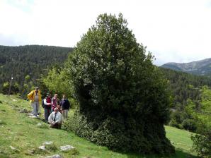 Parque Sierra Cebollera, La Rioja