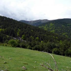 Parque Sierra Cebollera, La Rioja
