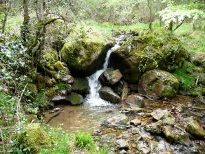 Parque Sierra Cebollera, La Rioja