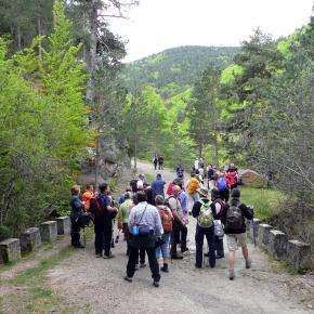 Parque Sierra Cebollera, La Rioja