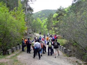 Parque Sierra Cebollera, La Rioja