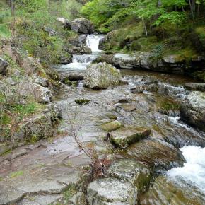20120519 Parque Natural Sierra Cebollera, La Rioja