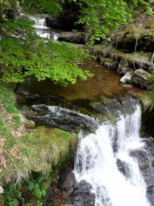 Parque Sierra Cebollera, La Rioja