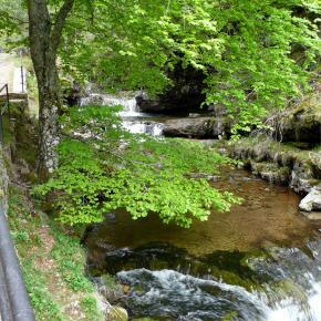 Parque Sierra Cebollera, La Rioja