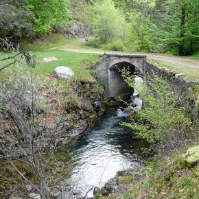 Parque Sierra Cebollera, La Rioja