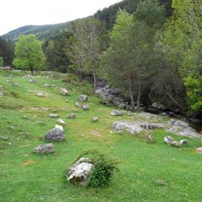 Parque Sierra Cebollera, La Rioja