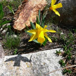 Ascensión a Lagos Baciver, Valle de Arán