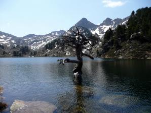Valle Aran-029