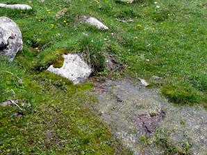 Valle Aran-036