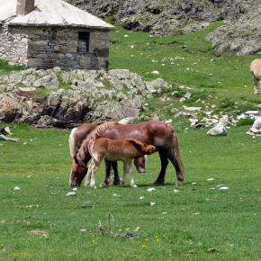 Parking Orri, Pla de Beret