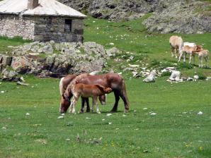 Parking Orri, Pla de Beret