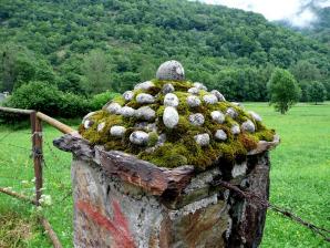 Valle Aran-082