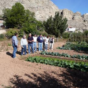 Vendimia Calatayud0009