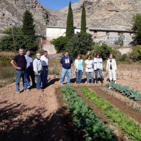 Vendimia Calatayud0010