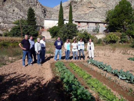 Vendimia Calatayud0010