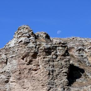 Vendimia Calatayud0013