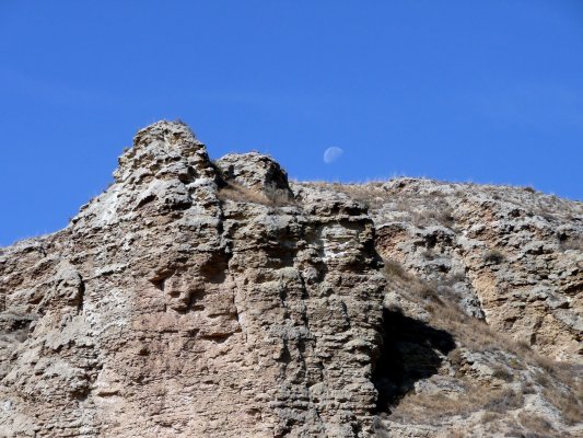 Vendimia Calatayud0013