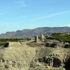 Vendimia Calatayud0021