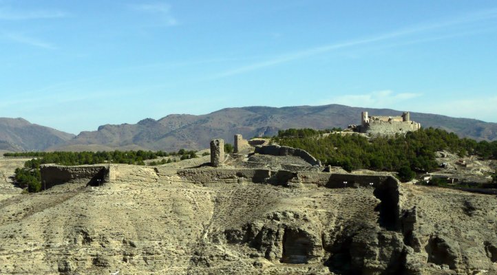 Vendimia Calatayud0021