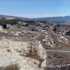 Vendimia Calatayud0022