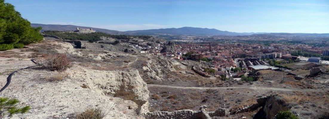 Vendimia Calatayud0022