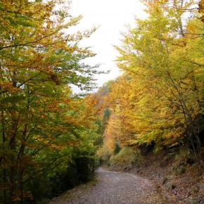 por la pista de la Larri
