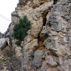 Pinturas Rupestres, Oliete, Teruel