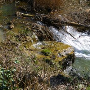 Fuentes Uncastillo-028