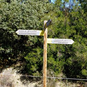 Fuentes Uncastillo-041