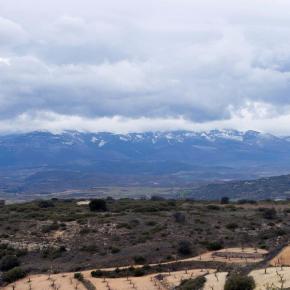 Misericordia y Bureta-001