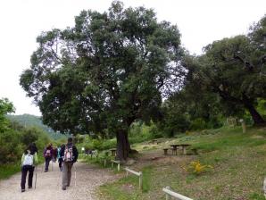 Baquedanos, Navarra