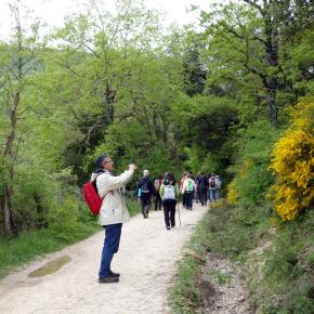 Nacimiento del Río Urederra, Baquedano, Navarra