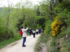 Nacimiento del Río Urederra, Baquedano, Navarra