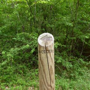 Nacimiento del Río Urederra, Baquedano, Navarra