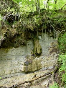 Nacimiento del Río Urederra, Baquedano, Navarra