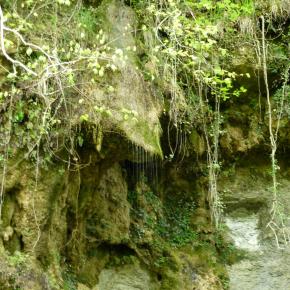 Nacimiento del Río Urederra, Baquedano, Navarra