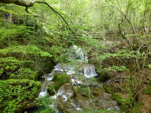 Nacimiento del Río Urederra, Baquedano, Navarra