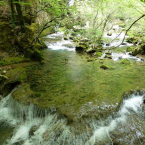 Nacimiento del Río Urederra, Baquedano, Navarra