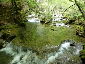 Nacimiento del Río Urederra, Baquedano, Navarra