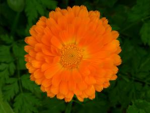 Rio Urederra-046
