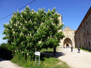 Monasterio de Irache, Navarra