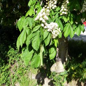 Monasterio de Irache, Navarra