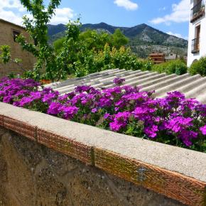 VIII Jornadas Senderistas-028