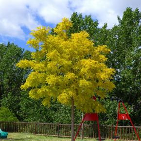 VIII Jornadas Senderistas-029