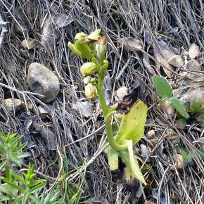 VIII Jornadas Senderistas-047