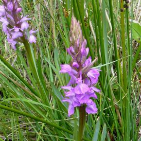 VIII Jornadas Senderistas-063