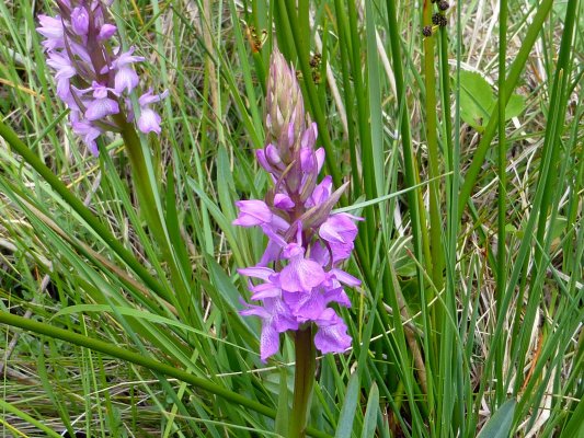 VIII Jornadas Senderistas-063