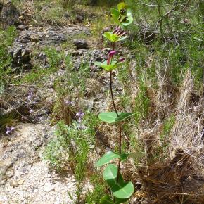 VIII Jornadas Senderistas-064