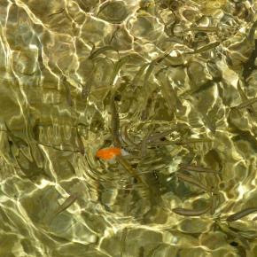 VIII Jornadas Senderistas-071